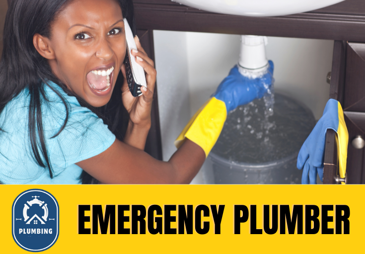 emergency plumber Normanton